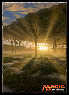 プレイヤーズカードスリーブ 『アイコニックマスターズ』《地平線の梢》MTGS-013