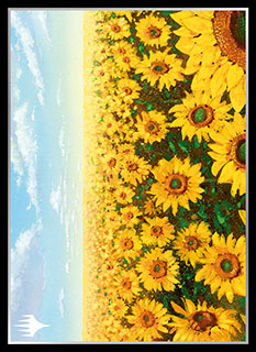 プレイヤーズカードスリーブ基本土地シリーズ『APACランド1』《平地》 MTGS-106