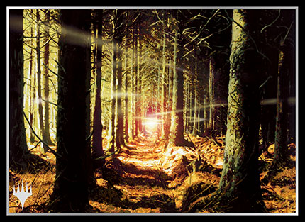 プレイヤーズカードスリーブ基本土地シリーズ『オンスロート』《森》 MTGS-109